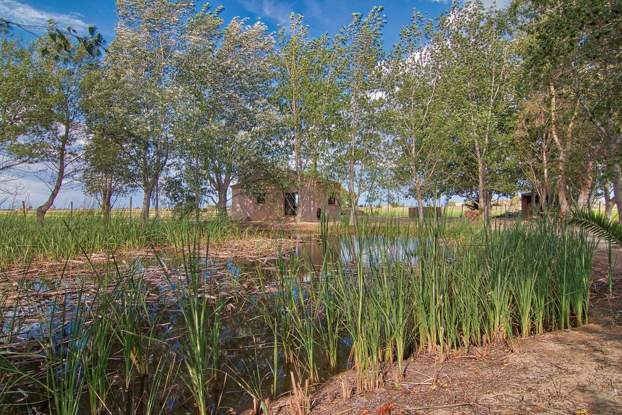 La Illeta Villa Deltebre Exterior photo